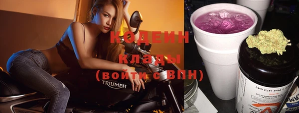 дживик Гусь-Хрустальный