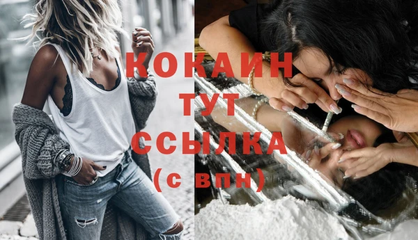 гидра Гусиноозёрск