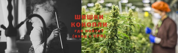 дживик Гусь-Хрустальный