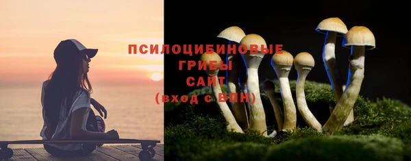гидра Гусиноозёрск