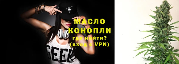 гидра Гусиноозёрск