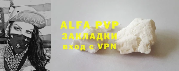 стаф Болотное