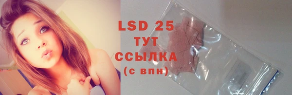 дживик Гусь-Хрустальный