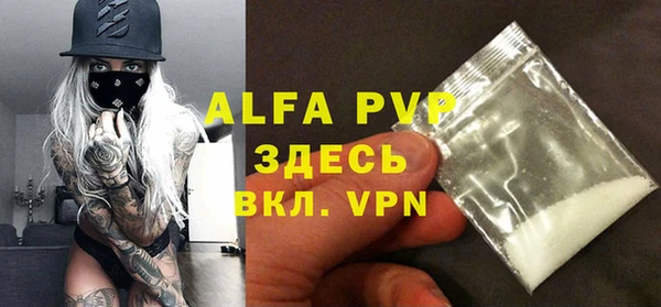 гидра Гусиноозёрск