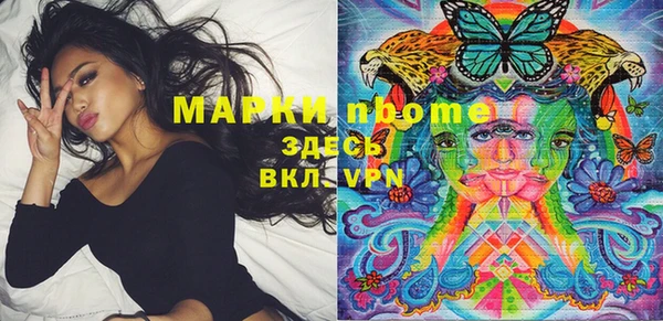 дживик Гусь-Хрустальный