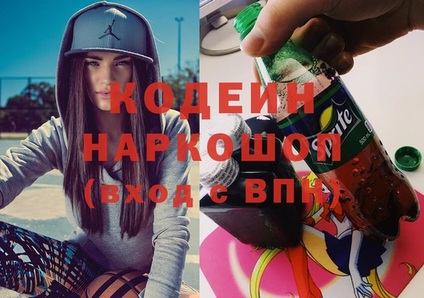 дживик Гусь-Хрустальный